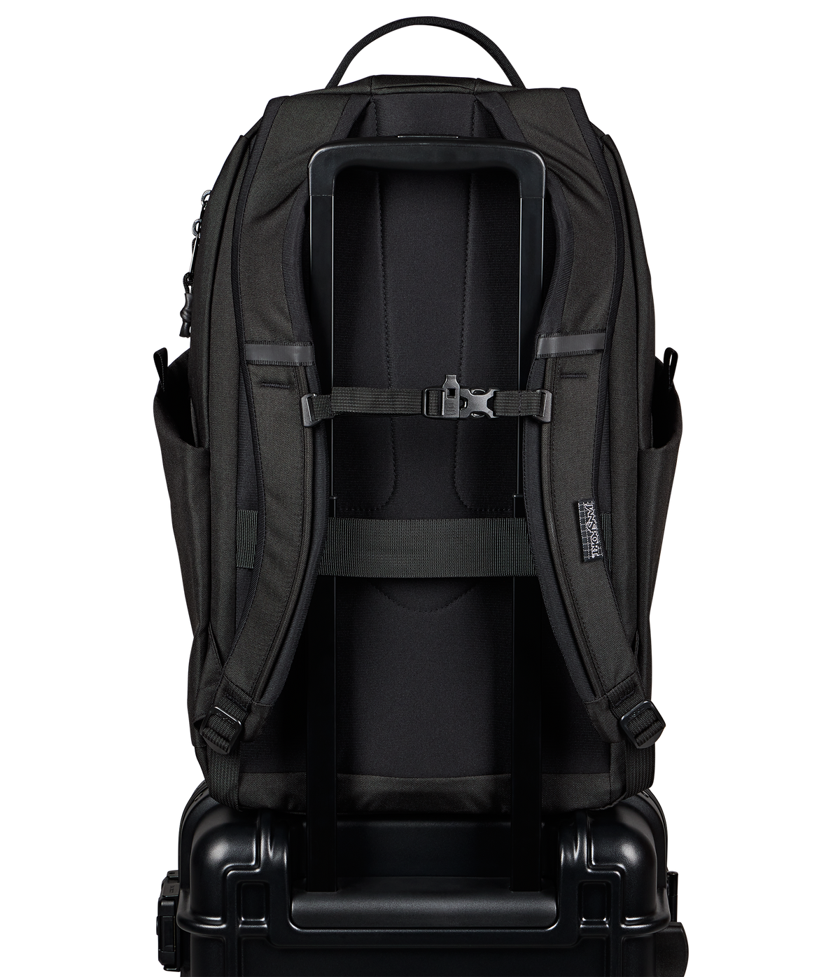 JS0A8E8F008-BACK