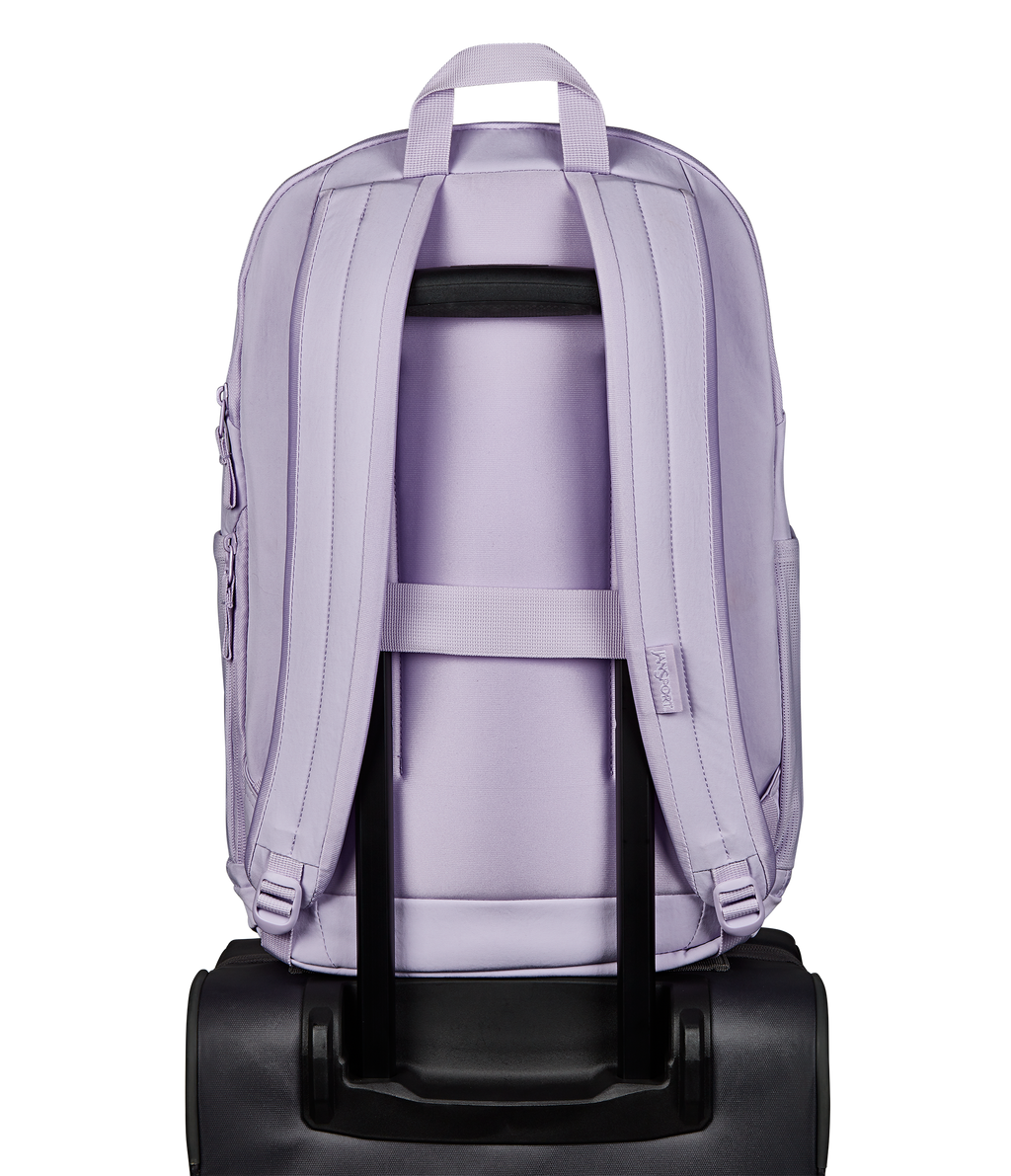 JS0A8982DM4-BACK