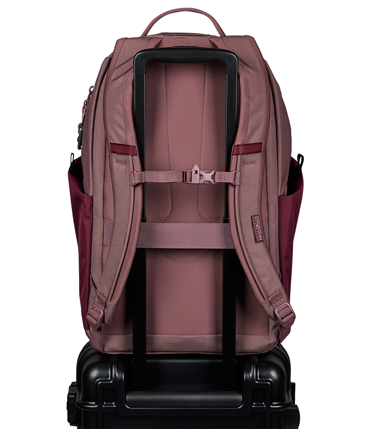 JS0A8E8FA0A-BACK